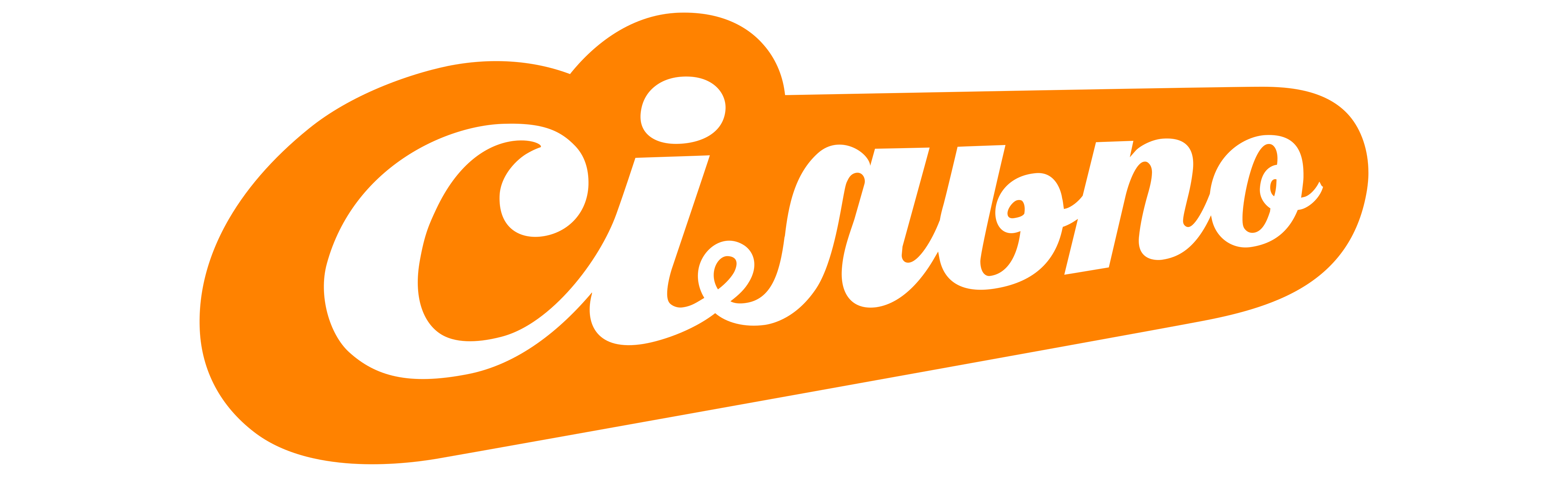 partner