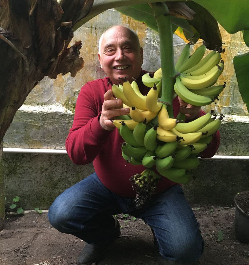 Цікаве місце Київської області - бананова ферма