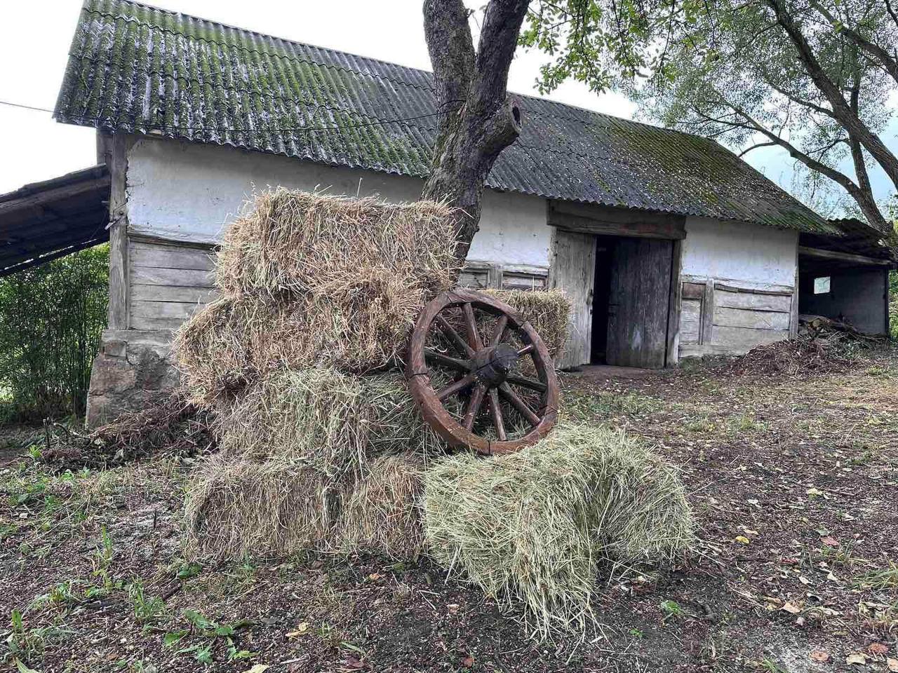 Супруги киевлян купили 100-летний дом на Львовщине: живое наследие и  традиционный сельский быт | Журнал Большого Города