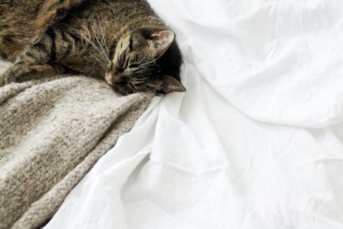 Постільна білизна: як вибрати комплект для гарного сну