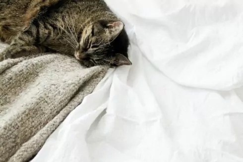 Постельное белье: как выбрать комплект для хорошего сна