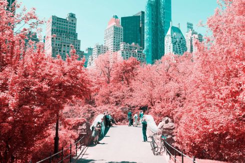 Крутознавство: ссылки недели