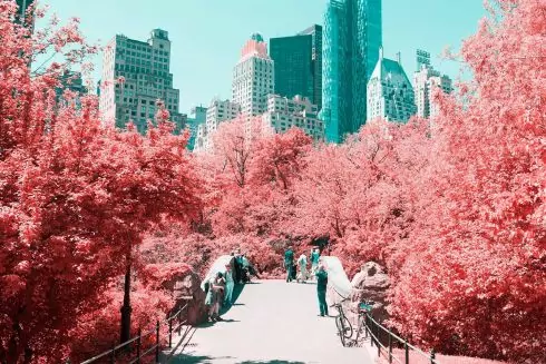 Крутознавство: ссылки недели