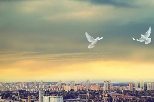 Зміна пріоритетів: які основні вимоги до нового житла у киян