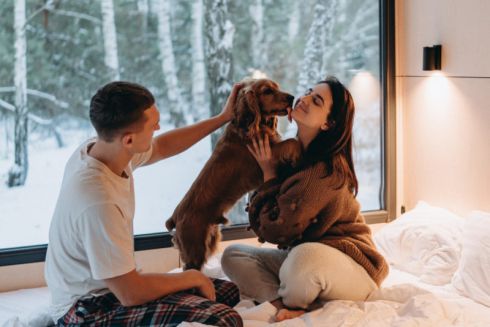 Популярний комплекс будинків на природі «УЛІС» запустив локацію з кебінами