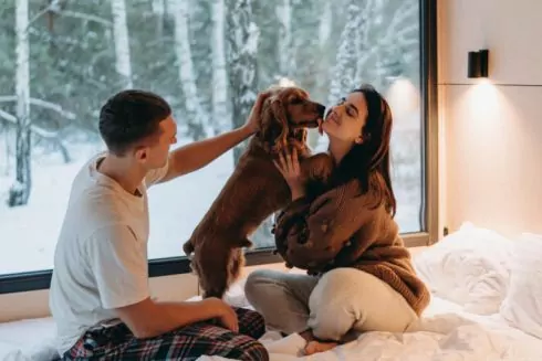 Популярний комплекс будинків на природі &laquo;УЛІС&raquo; запустив локацію з кебінами