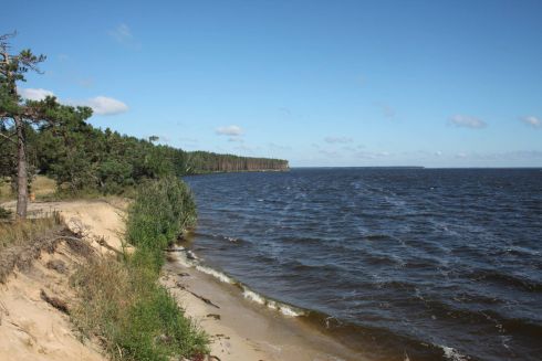 На території колишньої дачі Януковича створять парк з велодоріжками