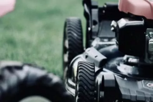 Від Київради вимагають припинити косити траву в місті