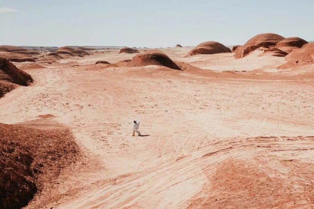 Фото дня. Смотрите работы победителей iPhone Photography Awards 2021