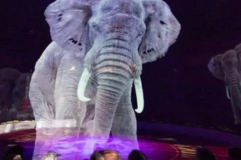 В немецком цирке животных заменили голограммами