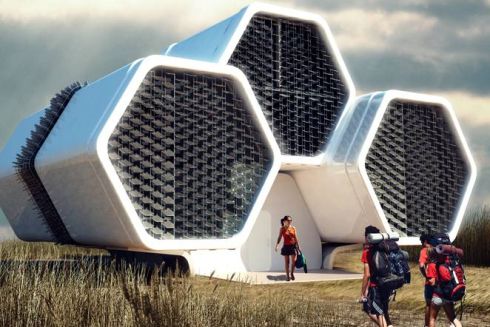 Идея: проект ревитализации Чернобыля