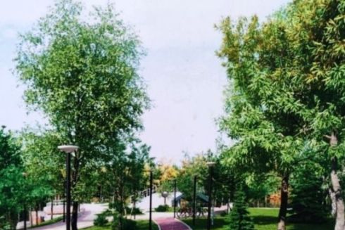 На благоустрій Оболонського острова додатково витратять понад 13 млн гривень з бюджету міста