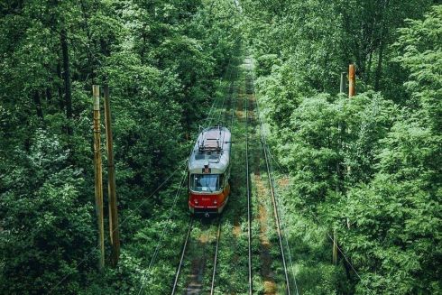 Трамвай до Пущі-Водиці відновив роботу