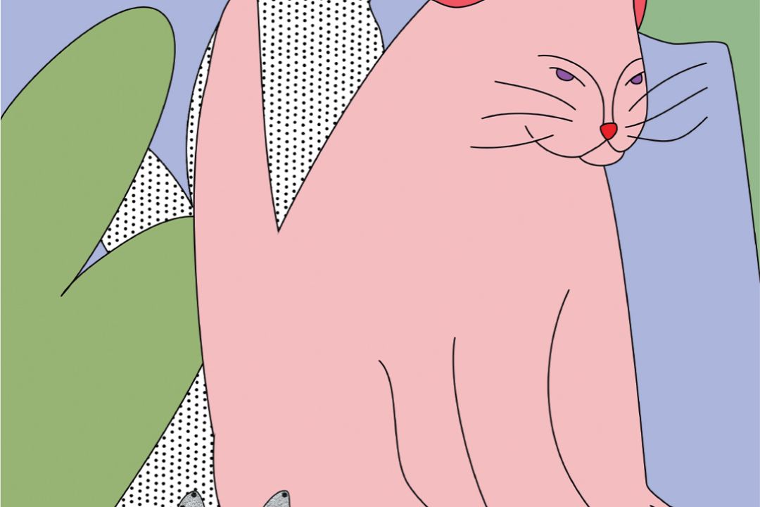 Сім фактів про котів, яких ви не знали