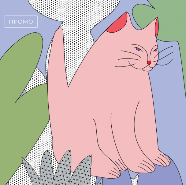 Сім фактів про котів, яких ви не знали