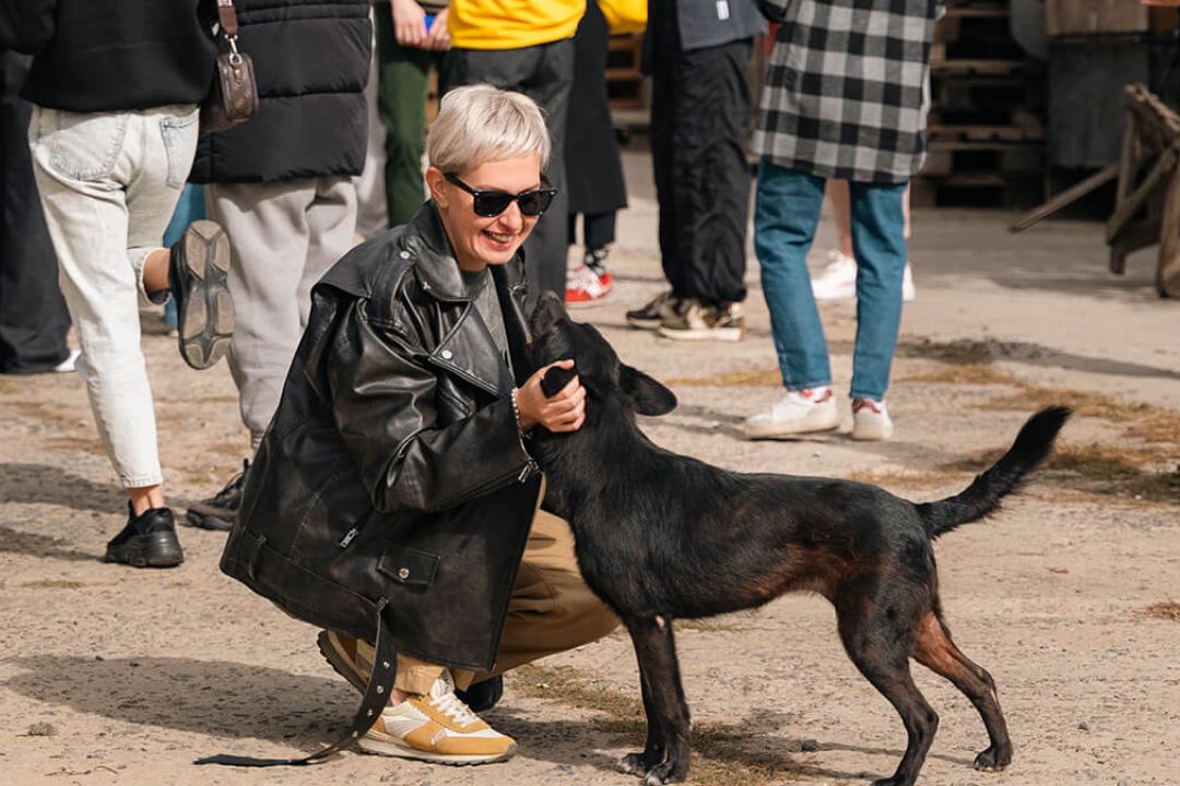 Як допомогти тваринам у притулках: EVA і Happy Paw оголошують масштабний збір “ВусоСвято”