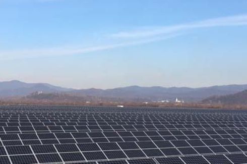 На Закарпатті замість звалища відкрили сонячну електростанцію