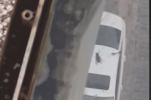 В «Мосту Кличко» завелись мухи