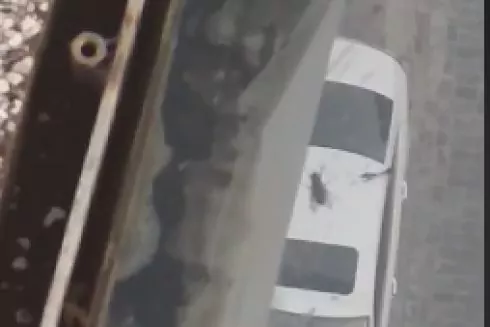 В &laquo;Мосту Кличко&raquo; завелись мухи