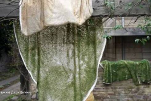 Украинка создала экологический &laquo;мех&raquo; из семен чиа