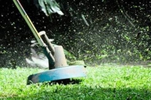 Київрада не підтримала петицію про відмову від скошення трави на прибудинкових територіях