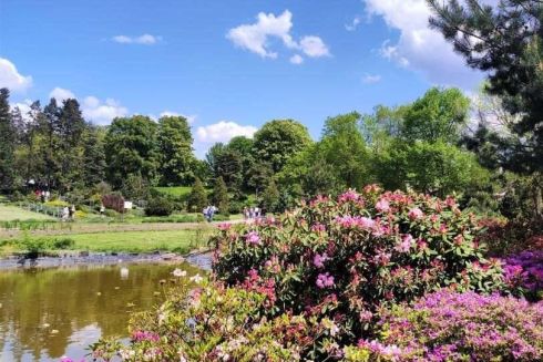 Земельну ділянку Ботсаду ім. Гришка передали під забудову попри заборону