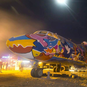 Возле аэропорта Киев установили разрисованный самолет