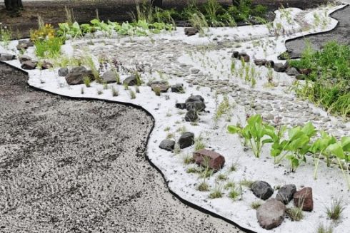 У Дніпровському районі з&rsquo;явився перший дощовий садок: як він виглядає