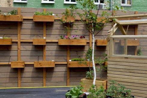 В центре Киева открыли общественный огород