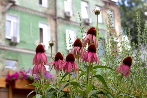 Афіша подій на 5-7 серпня