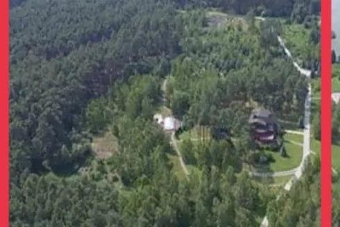 Державі повернули лісові угіддя Медведчука під Києвом вартістю 840 млн грн