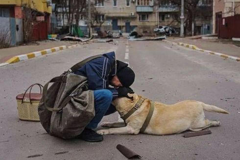 Как помочь Буче, Ворзелю, Ирпеню: список инициатив