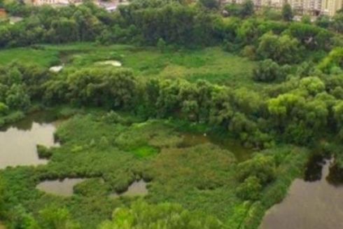 В екопарку біля Совських ставків проведуть роботи з благоустрою: що зроблять