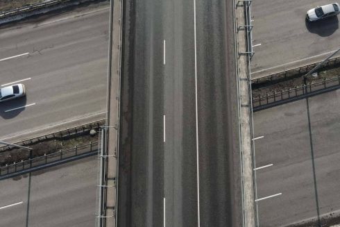 Строительство Киевской обходной дороги может уничтожить десятки гектаров леса - экологи