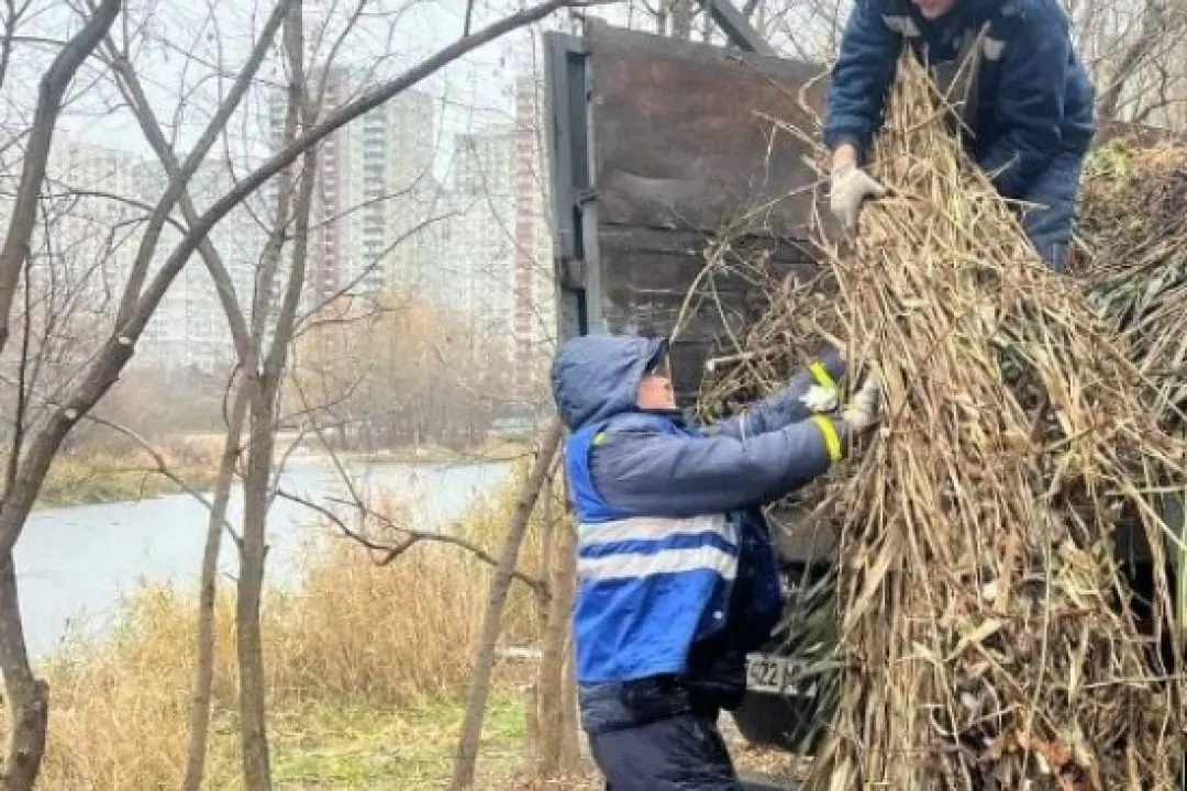 Озеро Жандарка на Позняках розчистили від гілля: фото