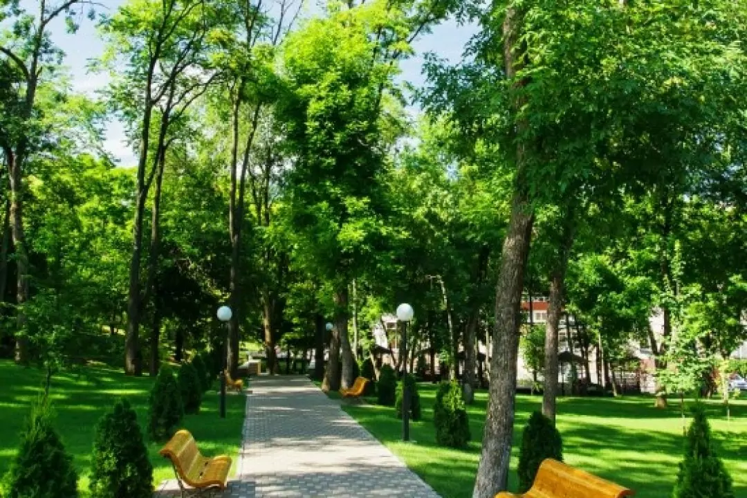 Площа парків Києва зменшилася на 800 гектарів за останні десять років &mdash; КЕКЦ