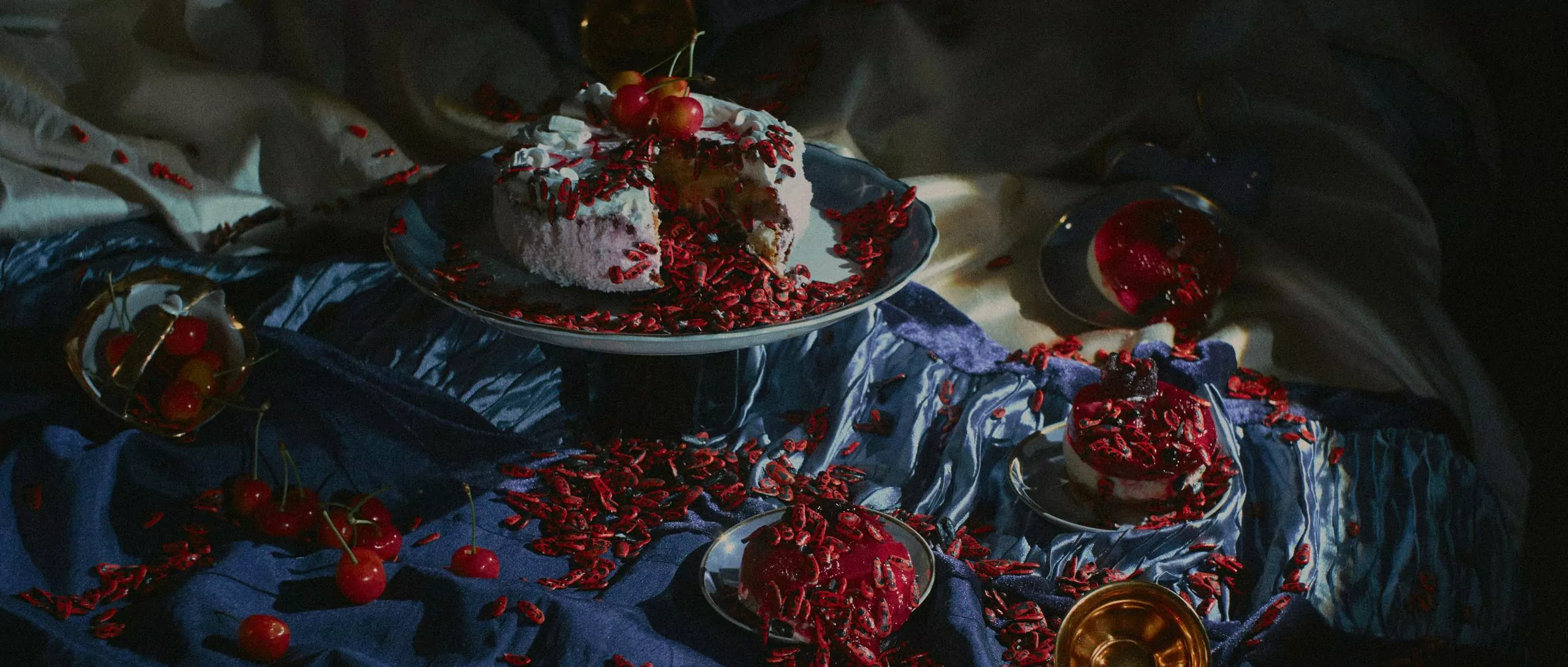Маргінезвілль: камені і жуки у фотографіях Олі Коваль