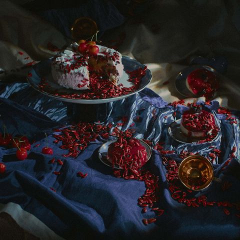 Маргінезвілль: камені і жуки у фотографіях Олі Коваль