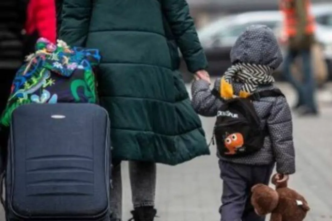 В Україні запустили безкоштовну гарячу лінію юридичної допомоги для ВПО