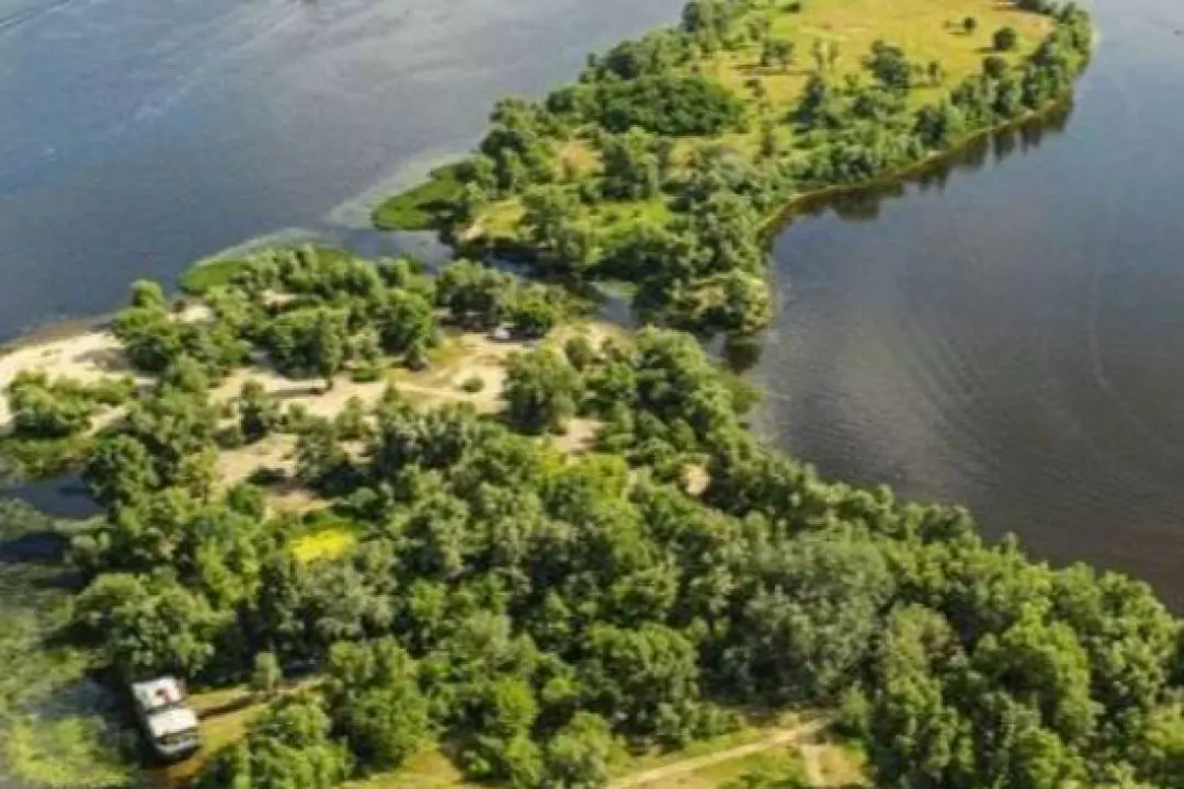 На Оболонському острові не було вікових дерев, тож їх не могли знищити &mdash; гендиректор &ldquo;Плесо&rdquo;