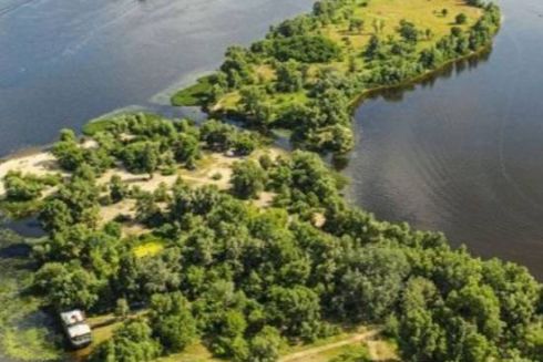 На Оболонському острові не було вікових дерев, тож їх не могли знищити — гендиректор “Плесо”