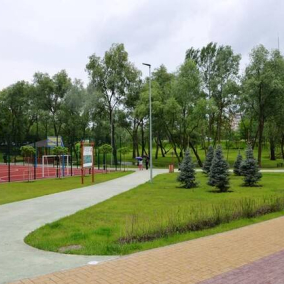 Світлові фонтани та зелені лабіринти: як зміняться парки Києва після реконструкції