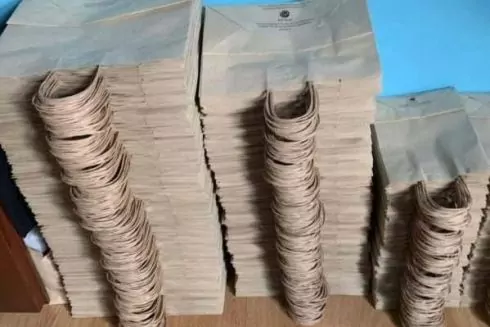 В Україні запускають продаж паперових пакетів з опалого листя