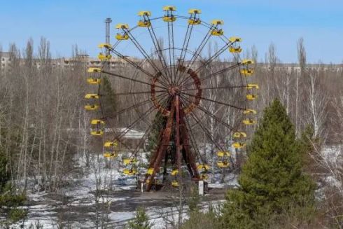 У вовків з Чорнобильської зони розвинулася стійкість до раку через радіацію