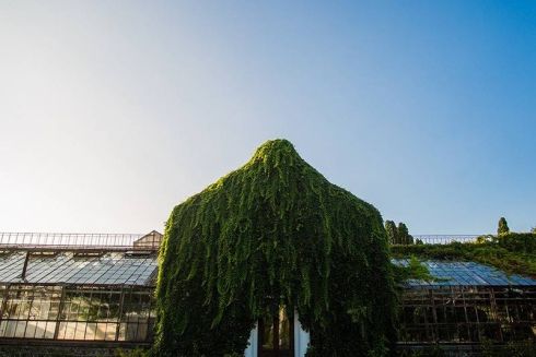 В оранжереї на ВДНГ пройде вечірка ШЩЦ з лайвом Kedr Livanskiy