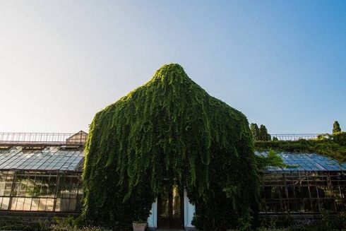 Реконструкція оранжереї на ВДНГ завершується: що там уже зробили