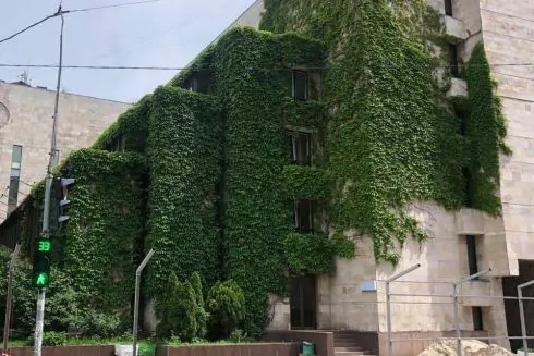 Найкраще за тиждень: Навіщо зберігати &ldquo;Квіти України&rdquo; та як у Львові ревіталізують будівлі