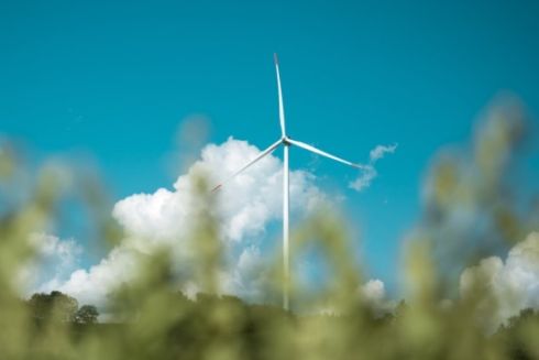 На Полтавщині планують спорудити нову вітрову електростанцію