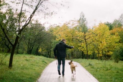 В Голосеевском парке обустраивают площадку для собак