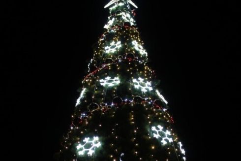 В сквере на Дарнице установят новогоднюю елку и сказочные фотозоны